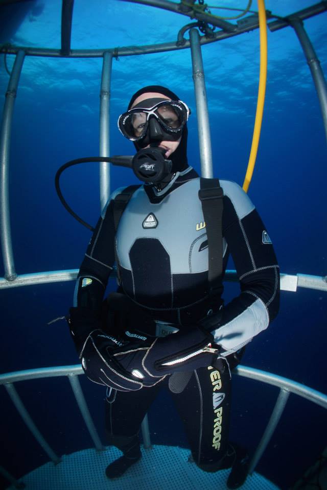 Guadalupe Shark Research 2014