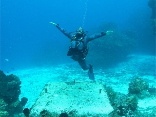 Cozumel Cozumel