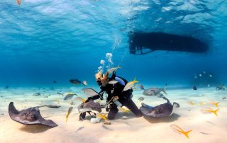 scuba diving trips