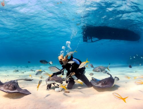 Non-Stop Flights to Grand Cayman and Cozumel