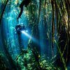 17 Scuba Diving Tips for Beginners Sea xenotes