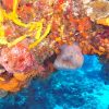 COZUMEL – June 2016 Cozumel