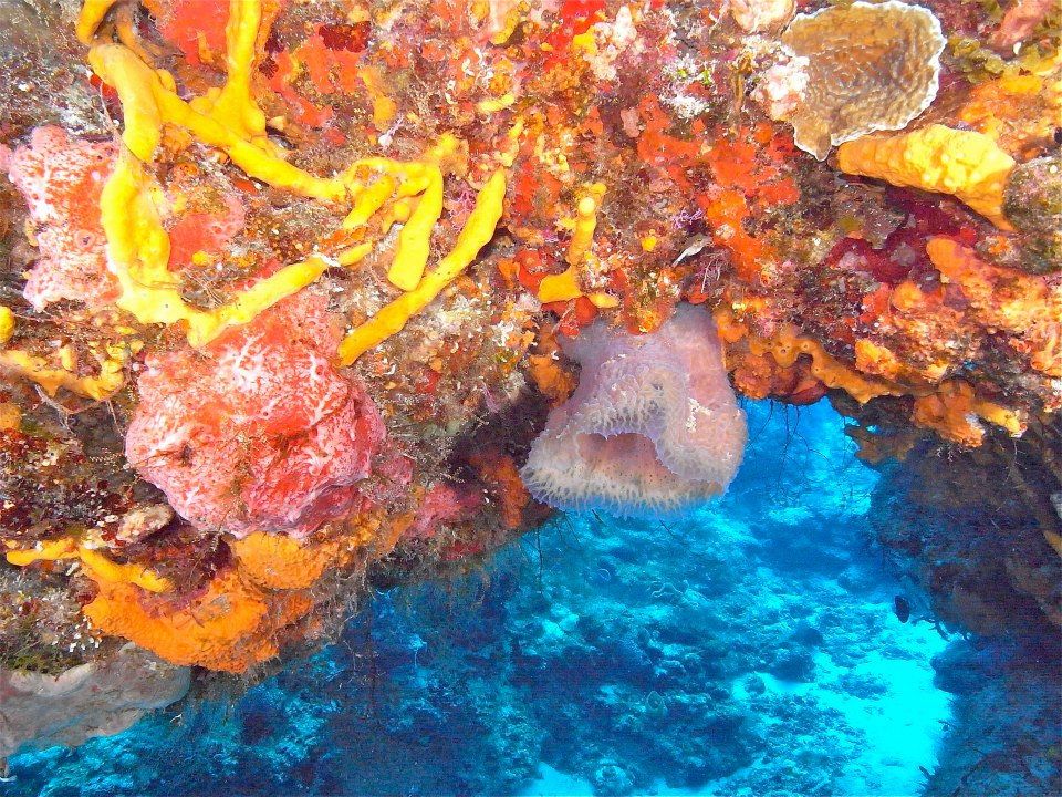 Cozumel