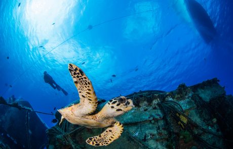 Cayman Brac Beach Resort