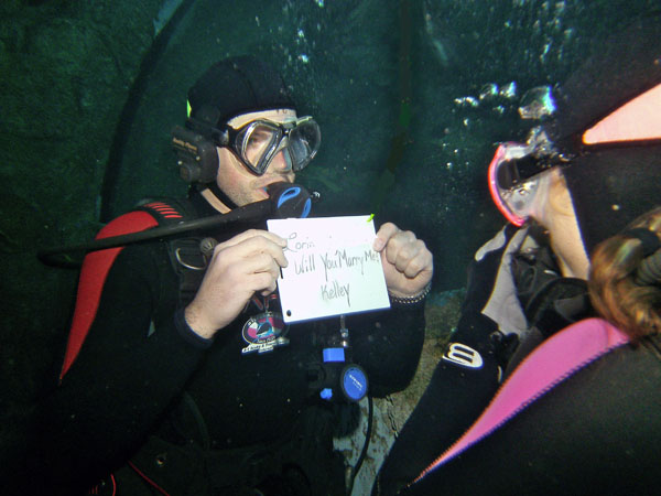 A man proposing to a woman underwater at the Denver Downtown Aquarium