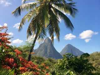 St. Lucia Anse Chastanet Resort 2018 St. Lucia Anse Chastanet Resort 2018