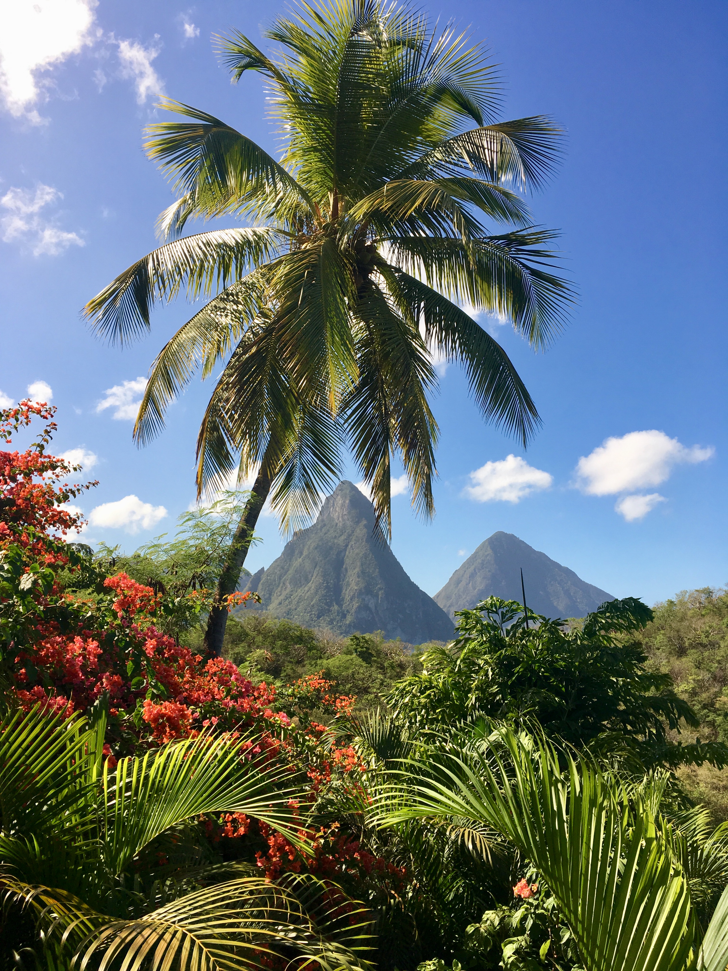 St. Lucia Anse Chastanet Resort 2018