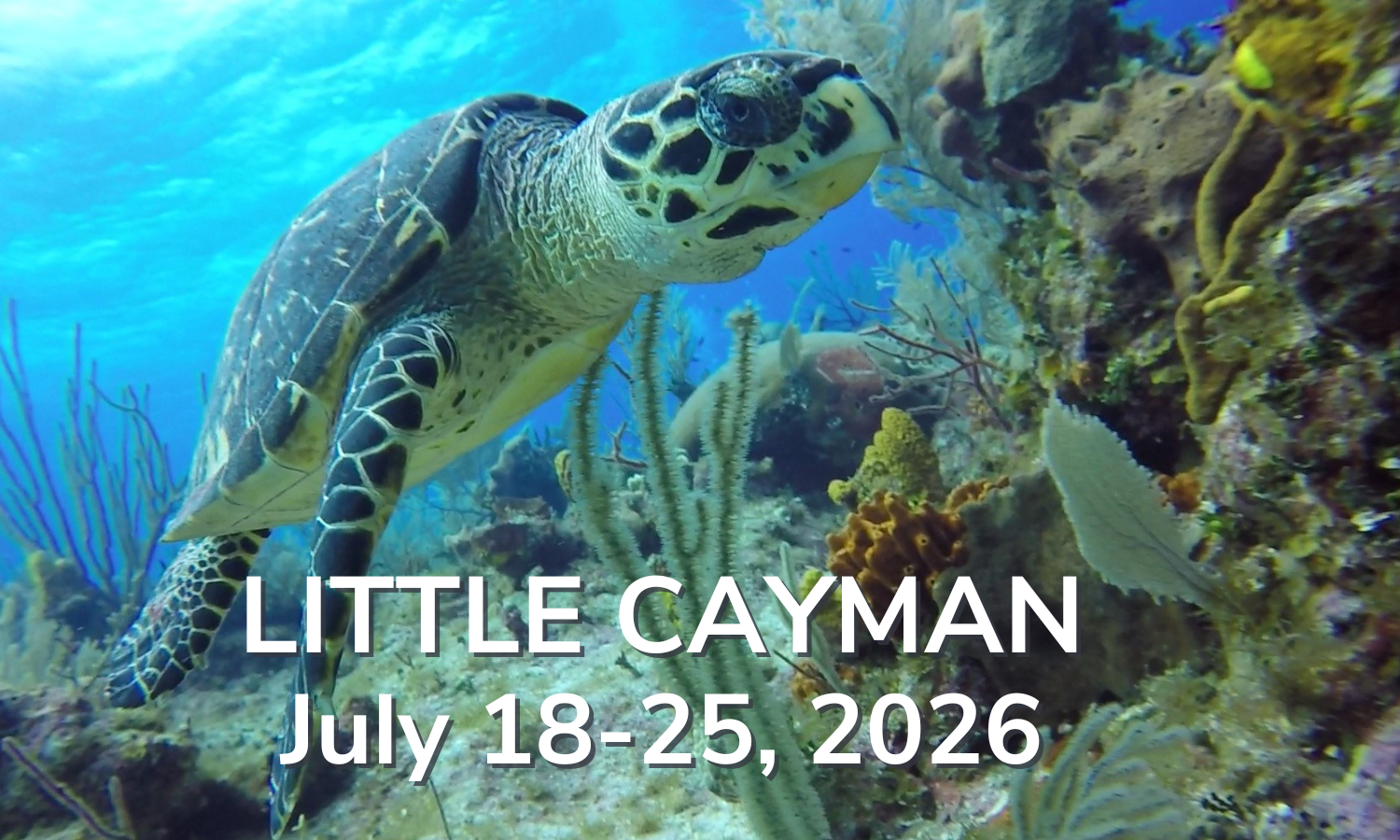 Little Cayman Beach Resort