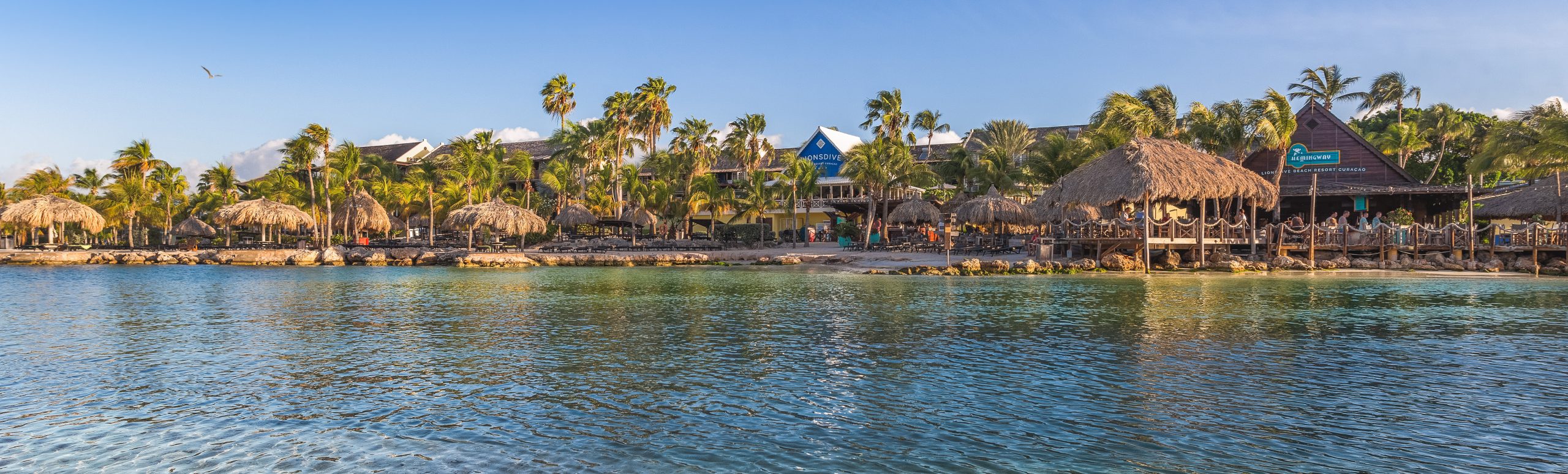 Lions Beach Resort view from the water