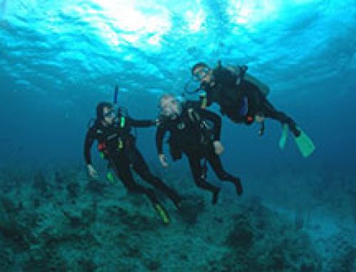 The Physical and Mental Benefits of Scuba Diving for the Disabled