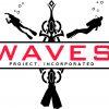 WAVES Project: The Wounded American Veterans Experience WAVES-1