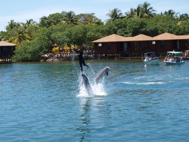 Anthony&#039;s Key Resort