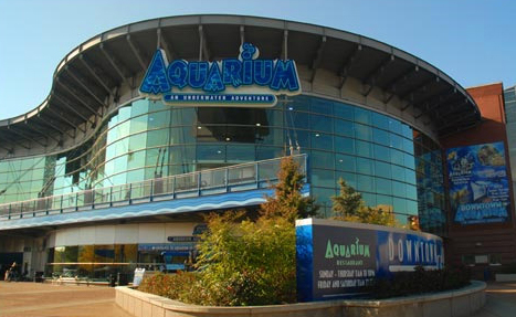 downtown aquarium downtown aquarium
