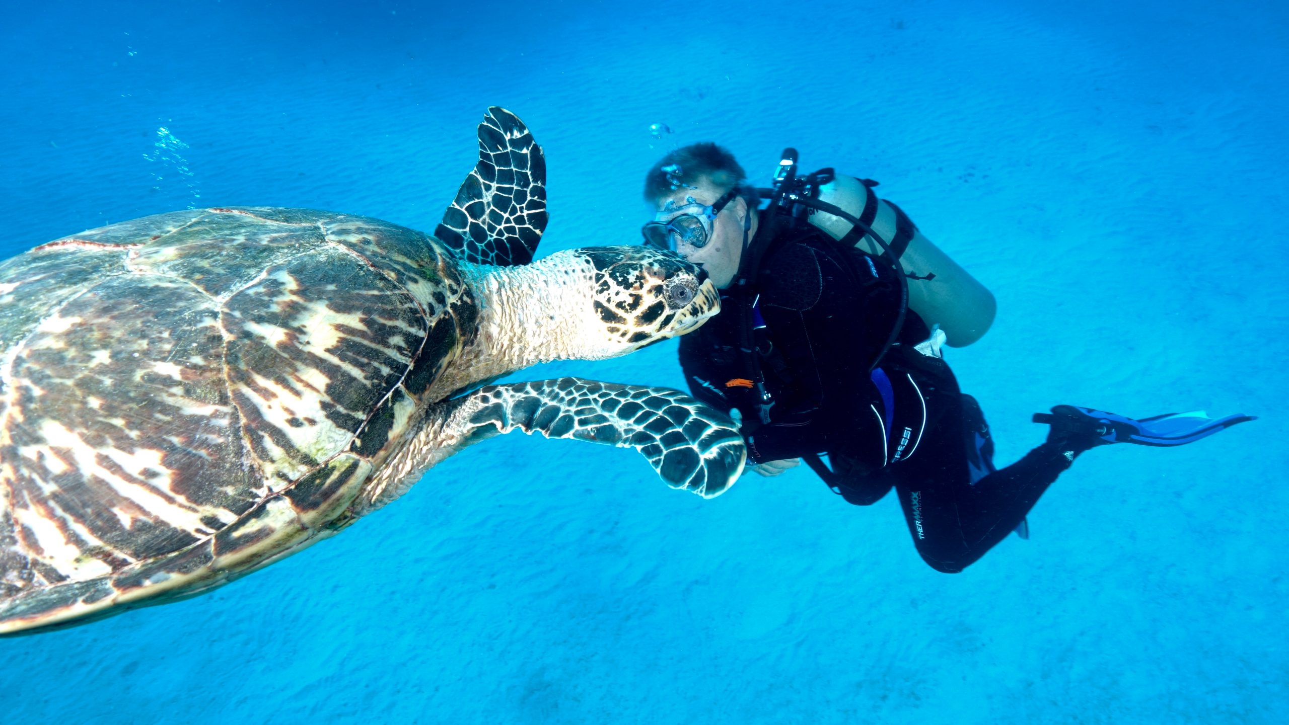 Cayman Brac January 2020