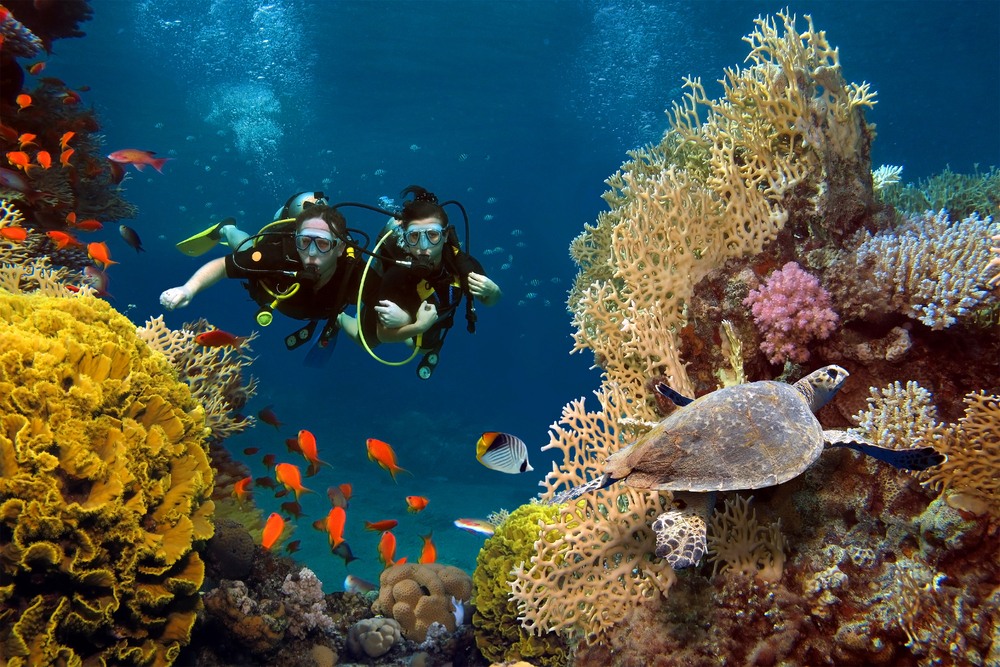 Getting The Most Out Of Your Scuba Trip To Bonaire A 1 Scuba Travel