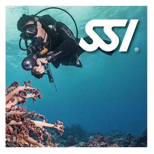 Divemaster