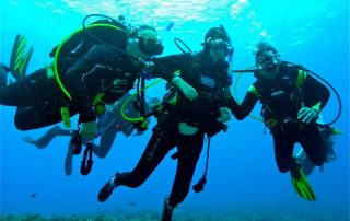 Divers with Disabilities