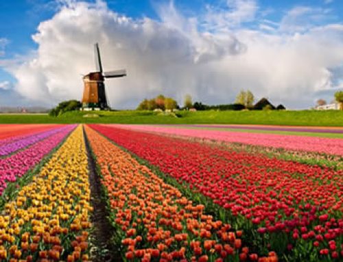 WELCOME TO HOLLAND