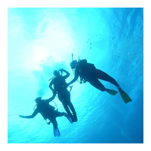 HSA Dive Buddy Course