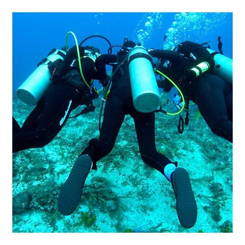Adaptive Diver Programs