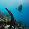 A-1 Scuba: The Best Scuba Diving School In Denver Learn To Scuba Dive In Denver CO