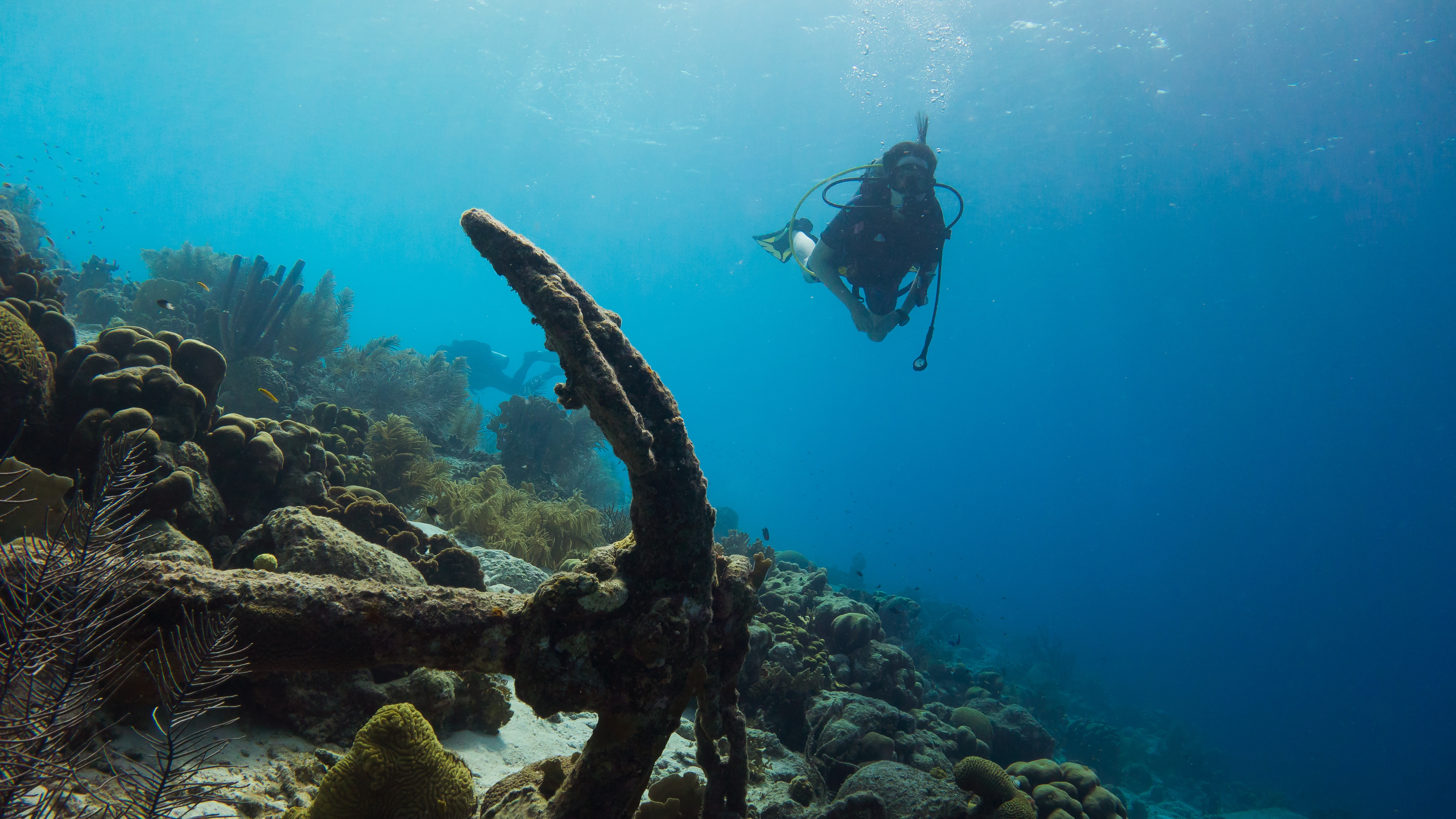 Learn To Scuba Dive In Denver CO