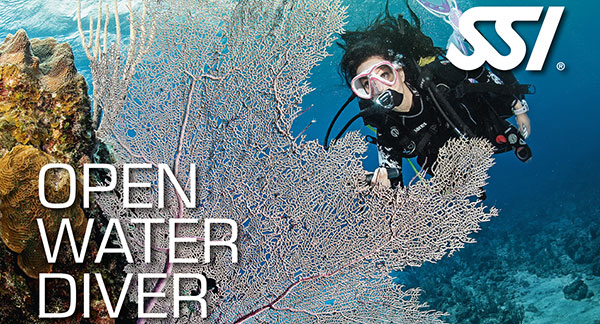 Open Water Diver