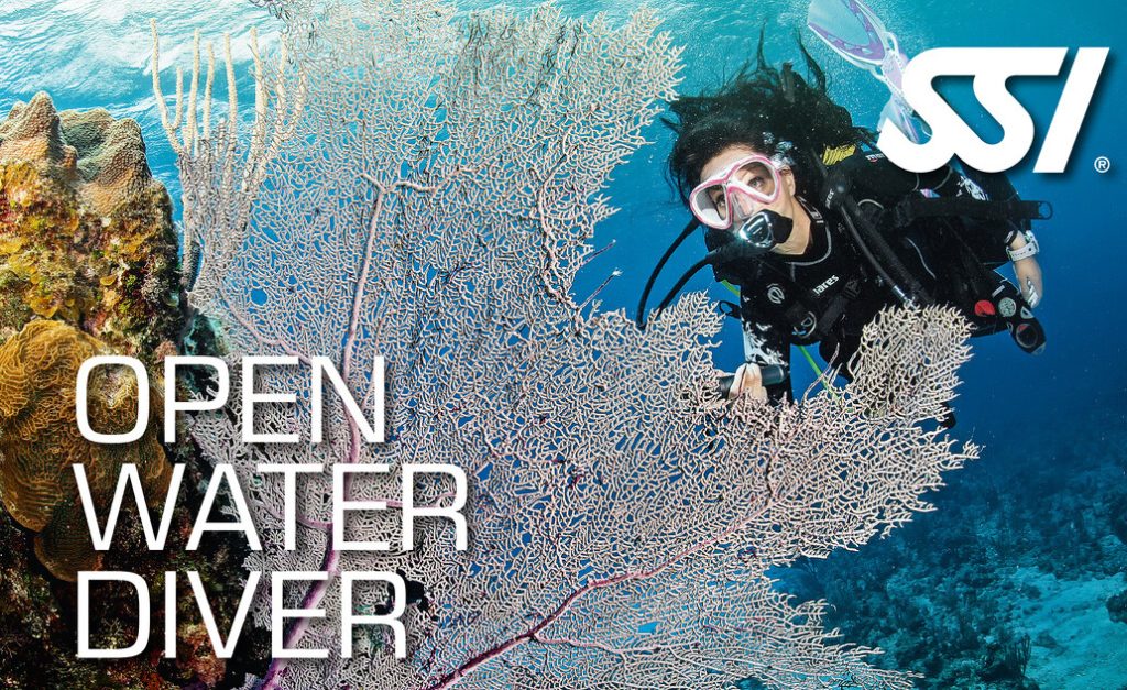 Open Water Diver