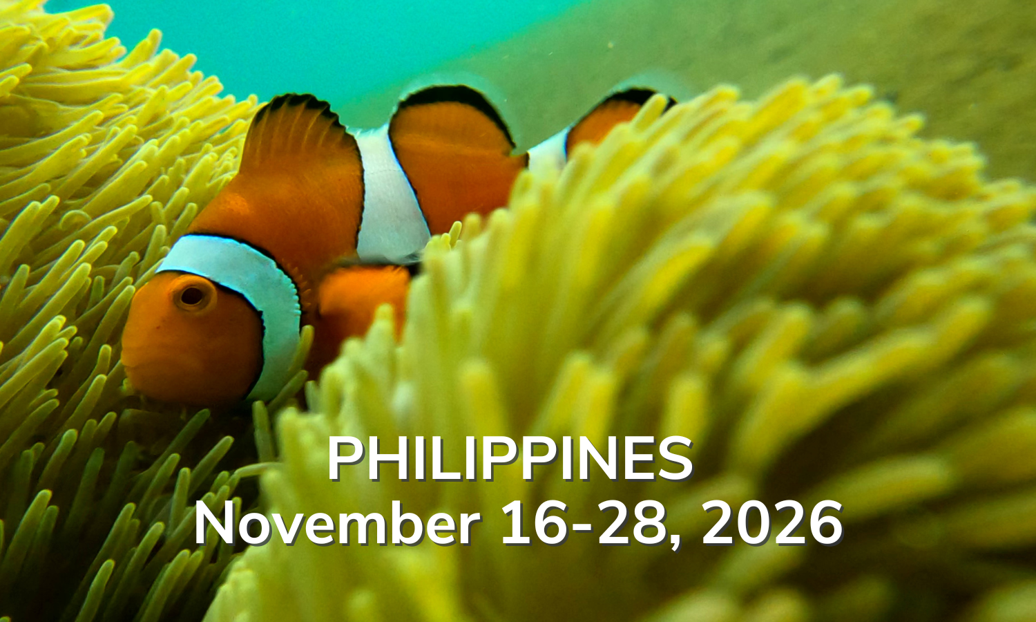 Philippines November 16-28, 2026