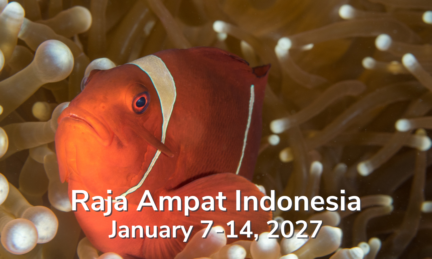 Raja Ampat January 7-14, 2027