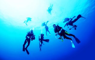 diver courses