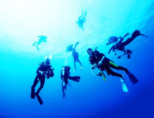 Looking to Explore the Deep Blue? Sign Up for Diver Courses