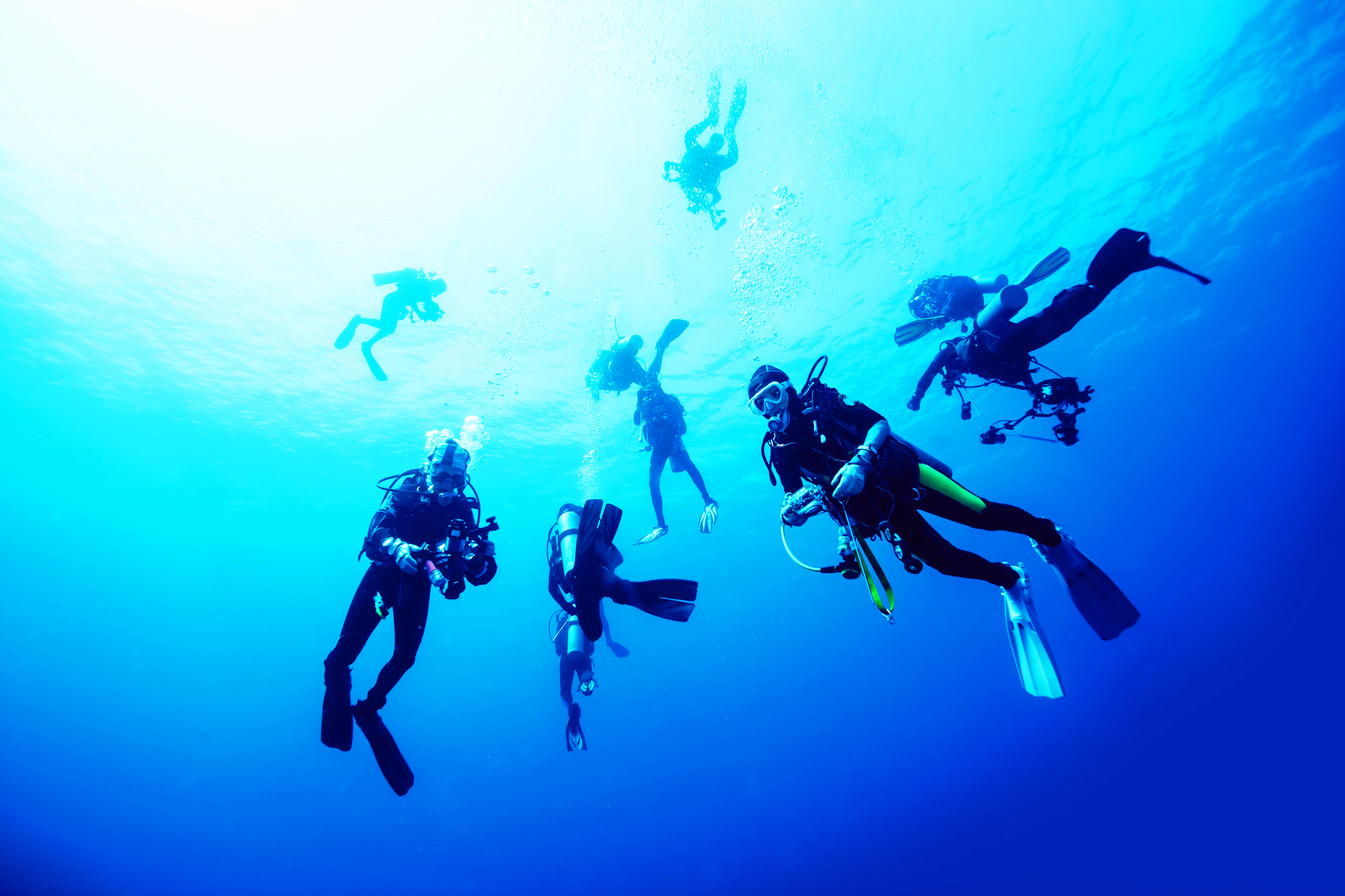 diver courses