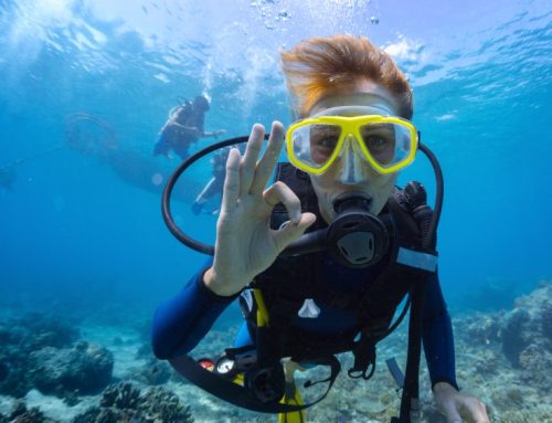 Scuba Diving Curacao: Join A-1 on a Caribbean Getaway