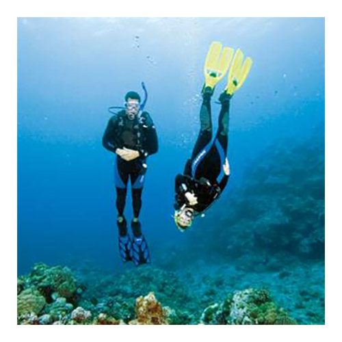 Scuba Review & Skills Update