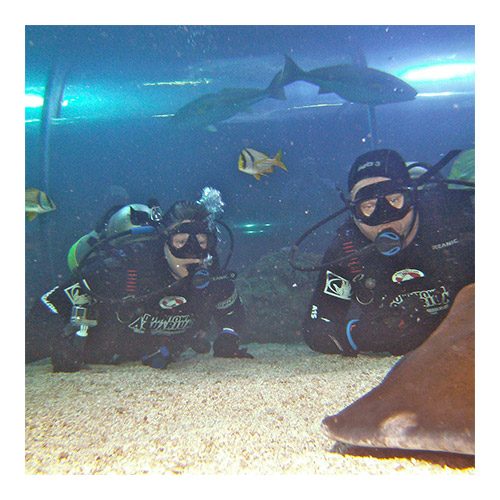 Scuba Review at the Downtown Aquarium