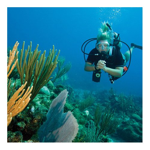 Self Reliant Diver