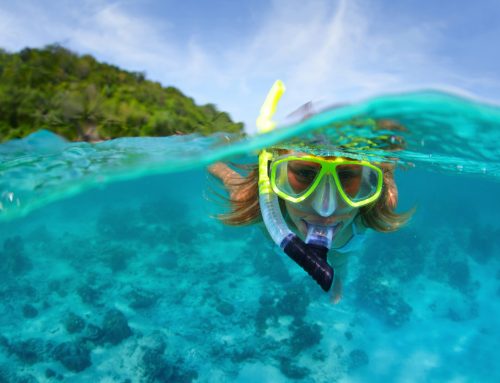 Snorkeling & Scuba Diving Essentials for Beginners