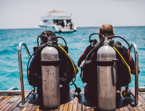 Common Questions Asked by Non-Scuba Divers