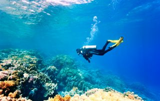 Scuba Diving Above coral