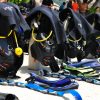 Diver Alert Network: The Largest Association Of Scuba Divers In The World Diver Alert Network