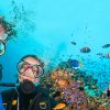 Scuba Diving Mistakes to Avoid This Summer
