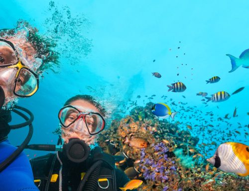 Scuba Diving Mistakes to Avoid This Summer
