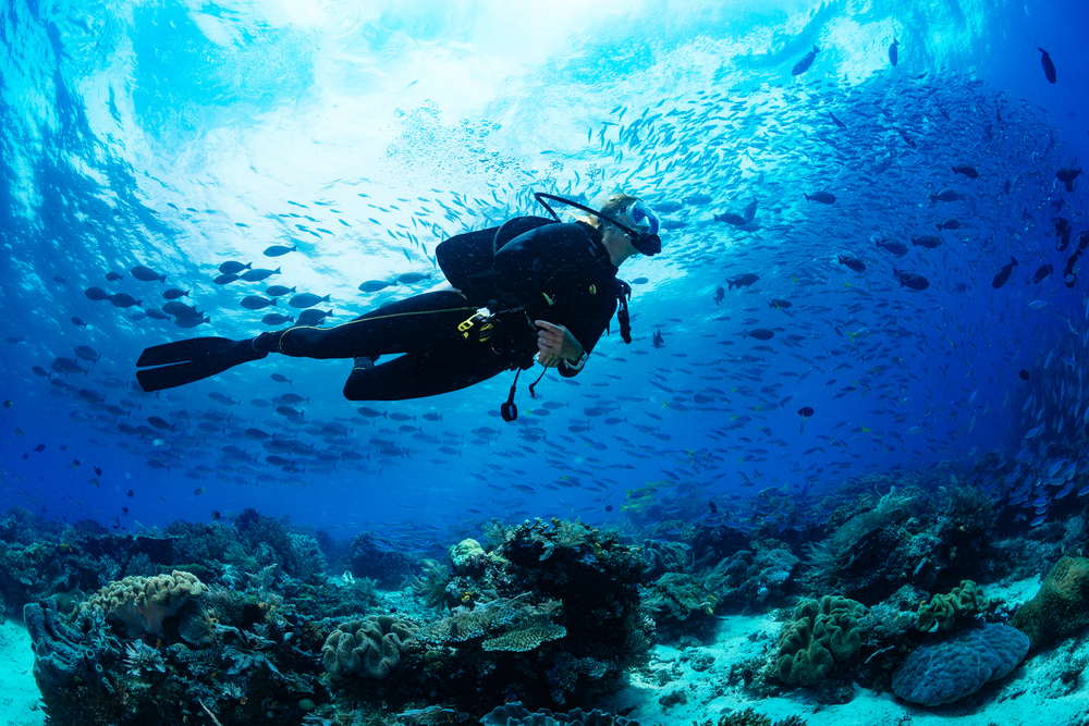 5 Most Popular Dive Spots