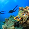 Drift Diving in Cozumel, or Snorkeling the Marine Sanctuary in Indonesia: Why You Need to Travel with A-1 in 2019 group escorted dive trips