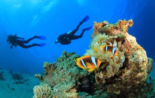 group escorted dive trips