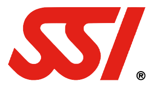 SSI