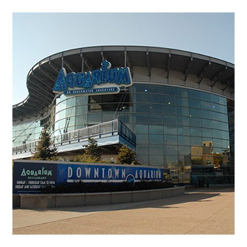 Try Scuba at the Aquarium